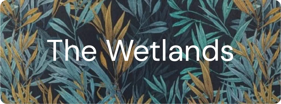 The Wetlands